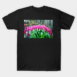 "Bleeding Heart" Flowers T-Shirt